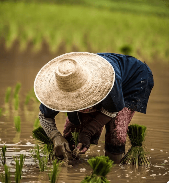 Farmer